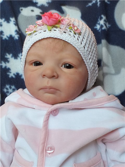 Мои любимые девочки реборн (фото 10)