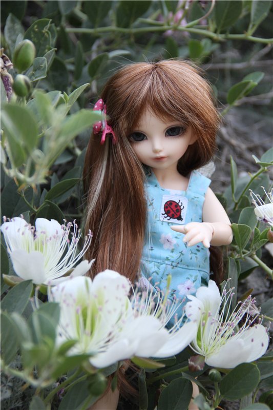 Крымская история Мелиссы | Бэйбики Крымская история Мелиссы — Куклы Fairyland (ФэйриЛэнд): BJD (БЖД) (фото 8)