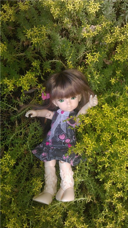 Маленький парк — Куклы Dollzone (Доллзон): BJD (БЖД)