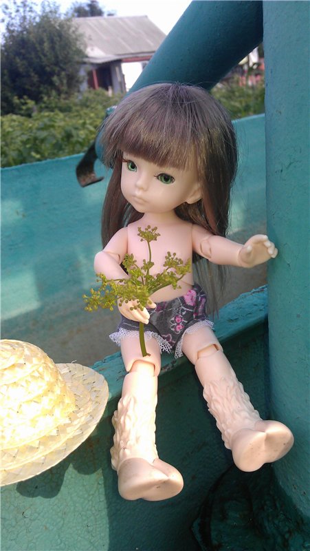 Немного лета в холода — Куклы Dollzone (Доллзон): BJD (БЖД)