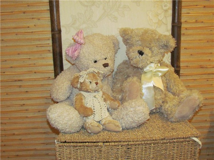 В преддверии Нового года... или новогодняя фотосессия Мишек (фото 3)