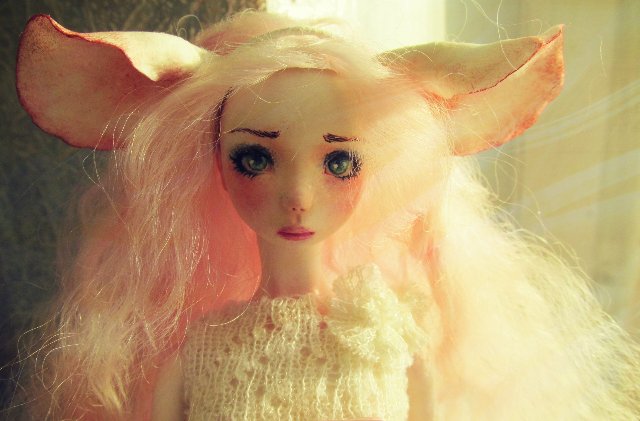 Шарнирные Куклы Варвянской Алины (фото 4)