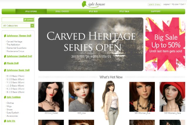 Закрыто. Коллективка. Для кукол BJD! На cайте IPLEHOUSE скидки с 15 января по 1 марта. Санкт-Петербург и иногородние