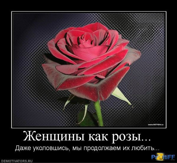 67 день года или Трубка пятнадцать, прицел сто двадцать. Предпраздничная болталка