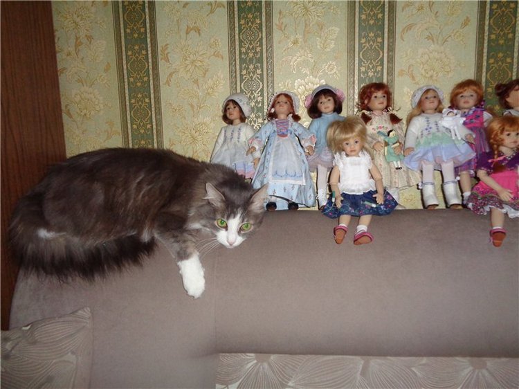 Я их посчитала... Коллекция виниловых кукол от Heidi Plusczok, часть 2