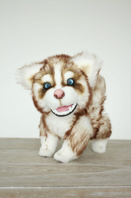 Шоколадный хаски Тофи | Бэйбики Шоколадный хаски Тофи — Авторские мишки Тедди и друзья: фото