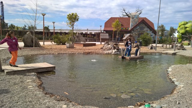 Сочи-парк, или, Русский Диснейленд. Часть 2 (фото 2)