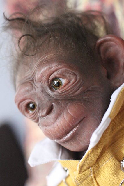 Гога, он же Гоша,он же Гора, он же Жора, здесь проживает? кукла реборн Элины Кудрявцевой (фото 10)