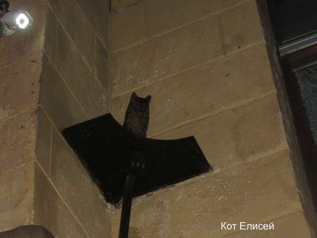 Ваня-путешественник в Санкт-Петербурге