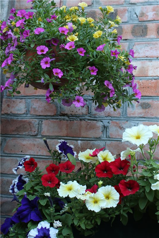 Еще несколько фото Saskia (фото 10)