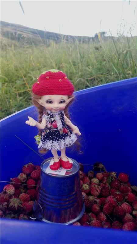 Земляничный день — Домашние коллекции кукол: фото собраний