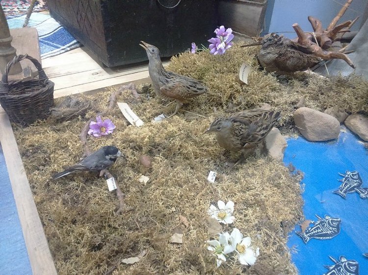 Воткинск — родина гения музыки Петра Ильича Чайковского. Часть 3 (фото 5)