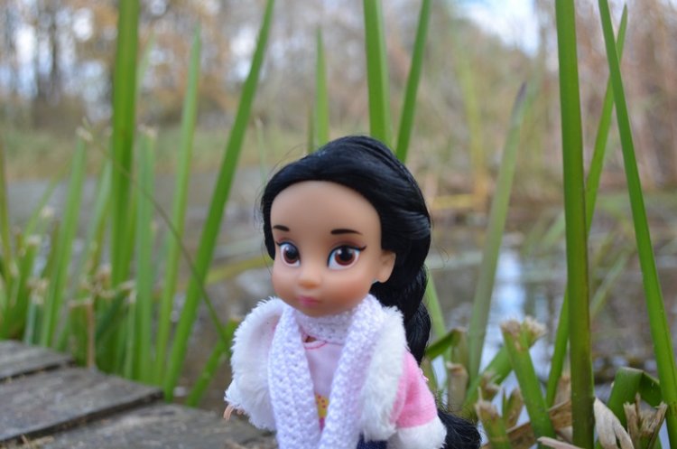 Мини дисней аниматорс Жасмин - поздняя осень