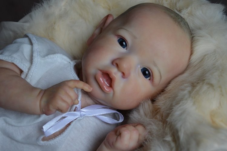 Еще одна Саксия... Еще один пацанчик