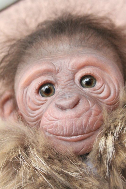 Лерка, кукла-реборн Элины Кудрявцевой (фото 9)