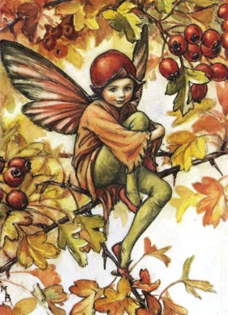 Долгая жизнь цветочных фей от иллюстраций Cicely Mary Barker до кукол Birgitte Frigast