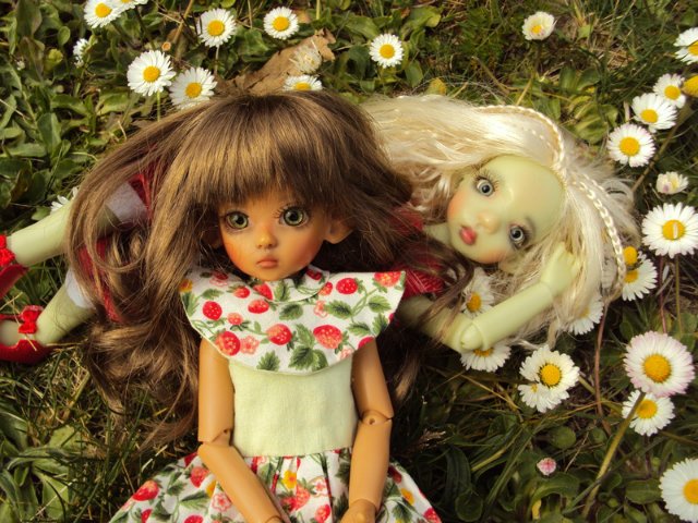 Хорошему наряду каждая Каешка рада - наши милые модели от Kaye Wiggs