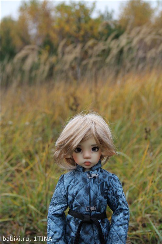 Моя прекрасная Ларисса от Kaye Wiggs