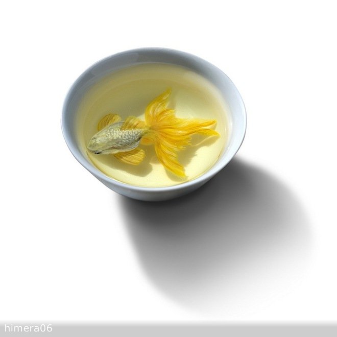 Живопись акрилом и лаком от Кенга Лая (Keng Lye)