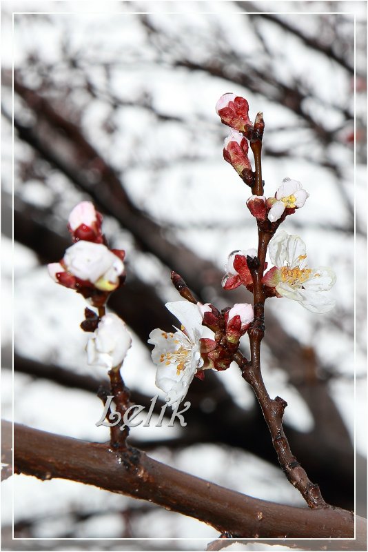 Новые наряды моей малышни. Riley, Tulah, Mary & Ellery Helen Kish