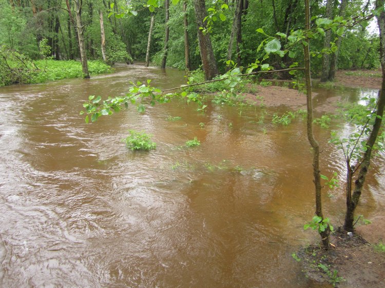 Назад в прошлое | Бэйбики Назад в прошлое — Болталка и разговоры обо всем: жизнь