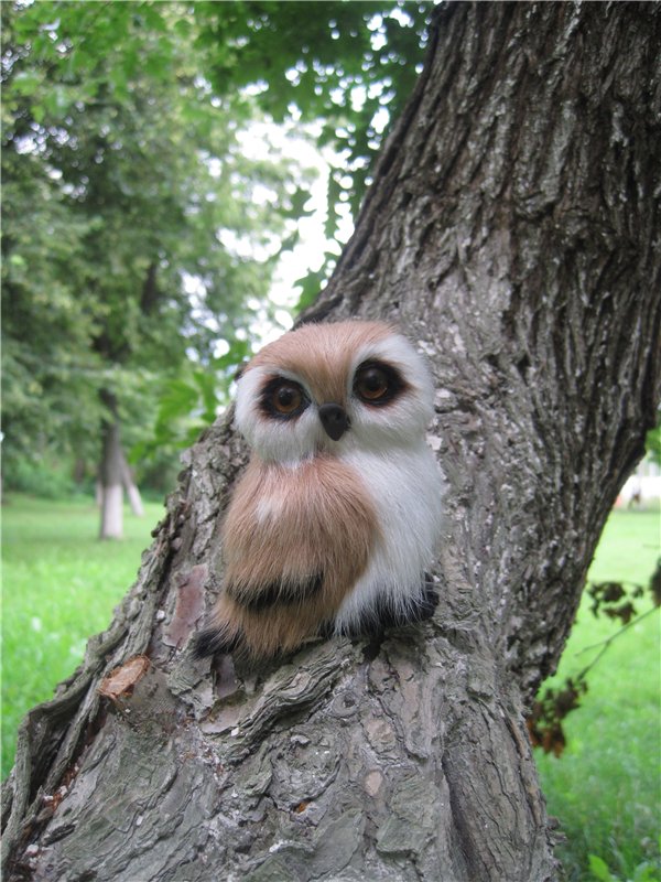 Тата, Анели и Лина! Куколки подружки Kathe Kruse | Бэйбики Тата, Анели и Лина! Куколки подружки Kathe Kruse