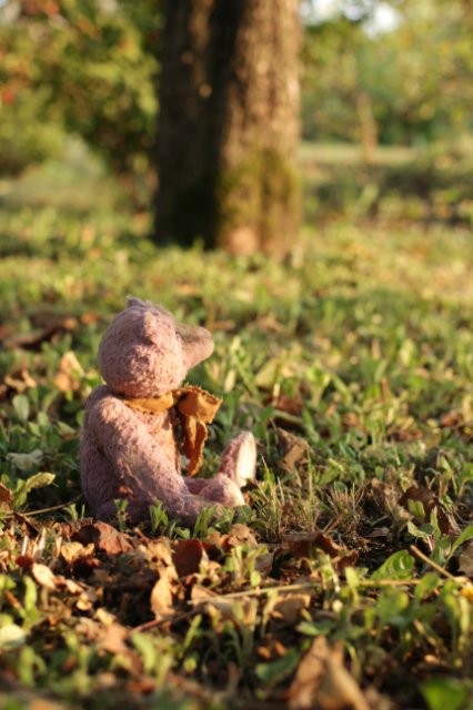 Деревенские медведи. Игрушки ручной работы