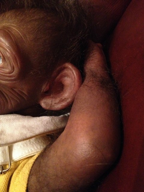 Гога, он же Гоша,он же Гора, он же Жора, здесь проживает? кукла реборн Элины Кудрявцевой