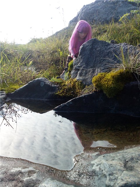 Моя Родина-Кузбасс или прогулки Тристен (фото 9)