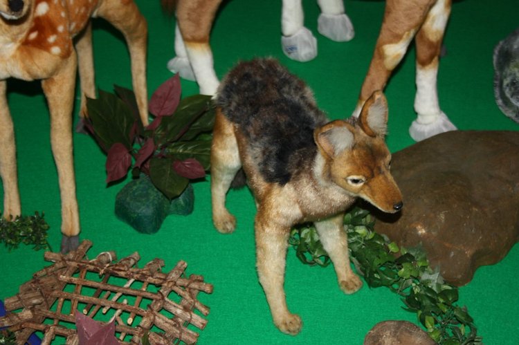 Выставка кукол, мишек тедди, кукольных домиков и миниатюры в Нидерландах 24-25 октября 2015 год. Четвертая часть | Бэйбики Выставка кукол, мишек тедди, кукольных домиков и миниатюры в Нидерландах 24-25 октября 2015 год. Четвертая часть