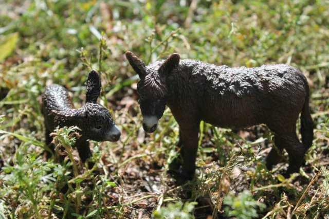 Раз, два, три, четыре, пять... Вышел ослик погулять | Бэйбики Раз, два, три, четыре, пять... Вышел ослик погулять (фото 2)