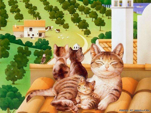 Кошачий позитив — Интересное и необычное: фотоподборки