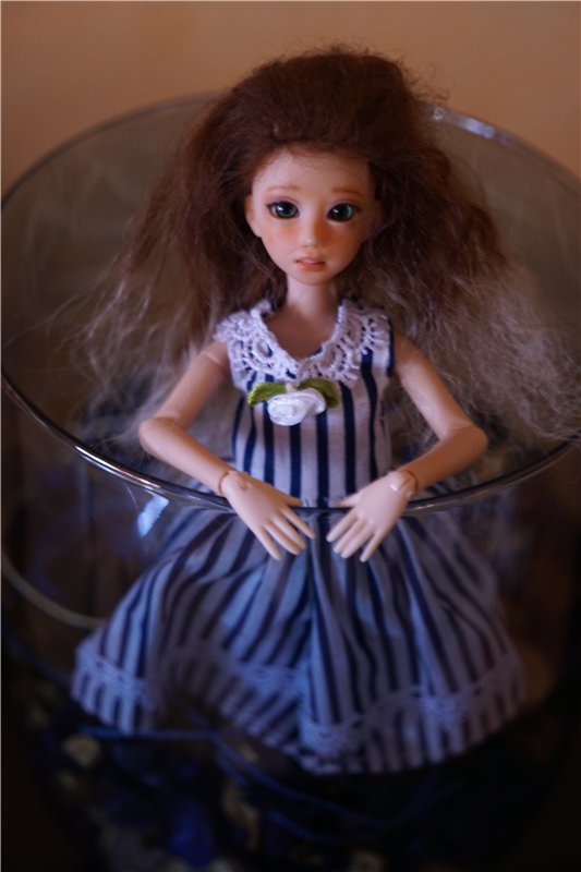 Где ты, Мэри — Аниме куклы (MJD/Винил): Imomo