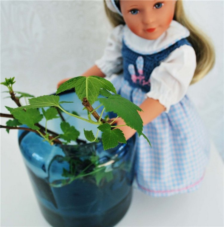 Розочка и Беляночка. Тони и Мари Круз от Kathe Kruse