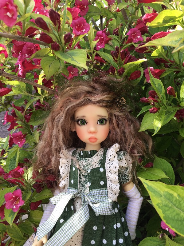 Мой цветочек, мой бриллиантик, моя звездочка... Нисса (фото 6)