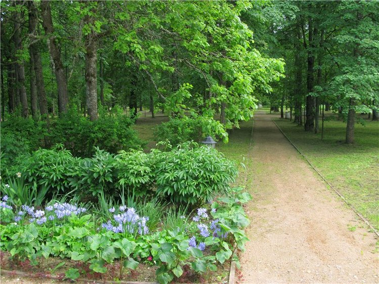 46-ой Пушкинский праздник поэзии в Берново. Часть первая