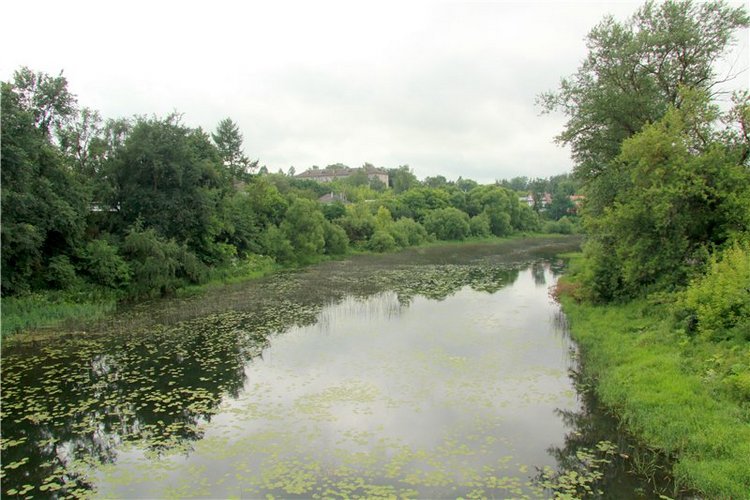 Кашин - город русского сердца. Заключительная часть. День города (фото 4)
