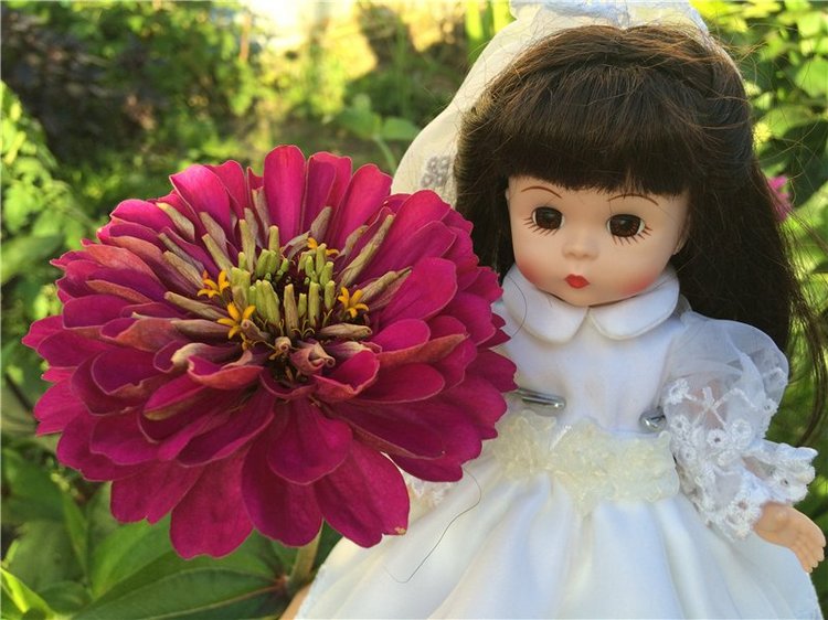 Малышка Венди, Wendy Madame Alexander (фото 7)