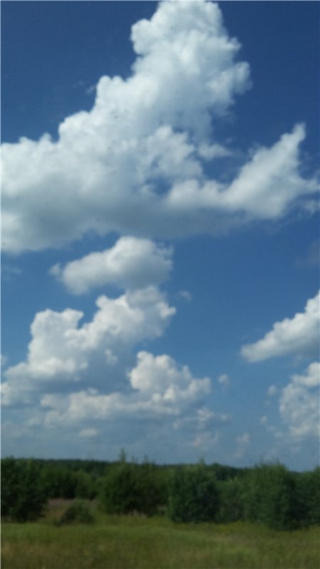 В гостях у бабушки ))) или яркое лето 2016 с девочками от Монстр Хай | Бэйбики В гостях у бабушки ))) или яркое лето 2016 с девочками от Монстр Хай