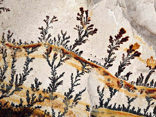 Лучший художник - природа. Узоры внутри камней. Часть первая (фото 6)