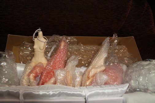 Первый Весенний Цветок! Anson, Dollzone (фото 3)