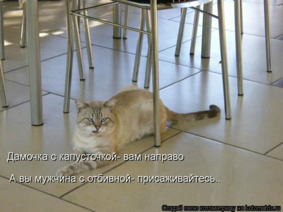 Море позитива) Для поднятия настроения (осторожно! много фото)))) | Бэйбики Море позитива) Для поднятия настроения (осторожно! много фото))))