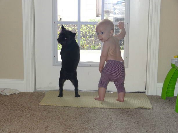 Кому нужна нянька — Болталка и разговоры обо всем: жизнь (фото 2)