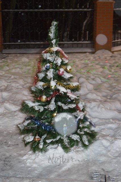 Новогодняя фантазия... Вихтели Schildkroet | Бэйбики Новогодняя фантазия... Вихтели Schildkroet (фото 5)