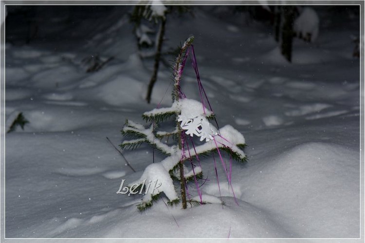 12 месяцев, или как Тамира за подснежниками ходила )