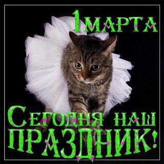 Наступила весна — Болталка и разговоры обо всем: жизнь (фото 9)