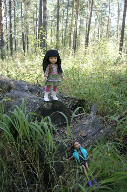 Как Лиу и Клодин за грибами ездили