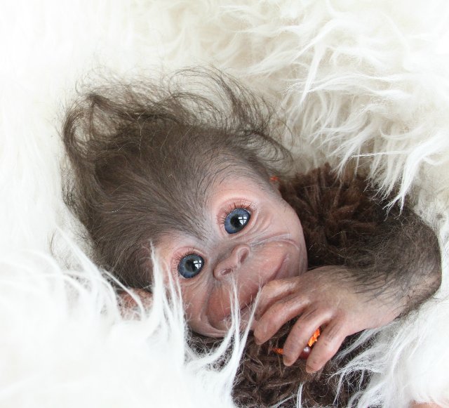 Обезьянка Bindi кукла реборн Элины Кудрявцевой (фото 7)