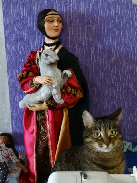 Моего кота не волнуют конкурсы, он просто любит фотографироваться