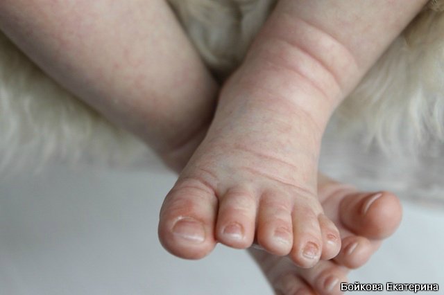 Кукла реборн Frida от Karola Wegerich в моём исполнении